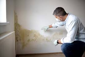 Best Forensic Mold Investigation  in San Dimas, CA